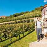 Eine Frau und ein Mann spazieren entlang eines Weinbergs