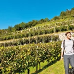 Startseite Startseite