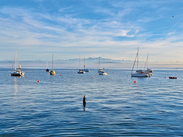 Bodensee Bodensee