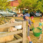 Startseite Startseite