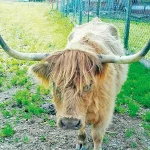 Startseite Startseite