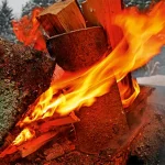 Startseite Startseite