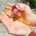 Startseite Startseite