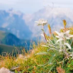 Startseite Startseite