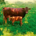 Startseite Startseite