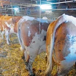 Startseite Startseite