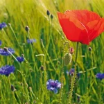 Startseite Startseite