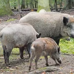 Startseite Startseite