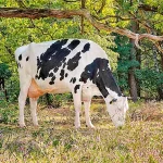 Startseite Startseite