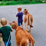 Startseite Startseite