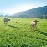 Startseite Startseite