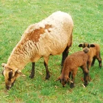 Startseite Startseite