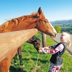 Startseite Startseite