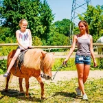 Startseite Startseite