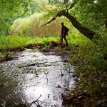 Startseite Startseite