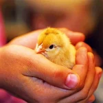 Startseite Startseite