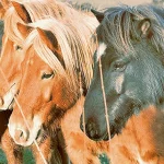 Startseite Startseite