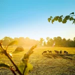 Startseite Startseite