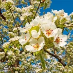 Startseite Startseite