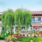 Startseite Startseite