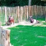 Startseite Startseite