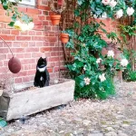 Startseite Startseite