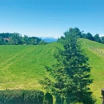 Startseite Startseite