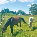 Startseite Startseite