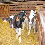 Startseite Startseite