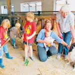 Startseite Startseite