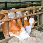 Startseite Startseite