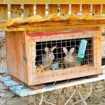 Startseite Startseite