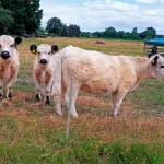 Startseite Startseite