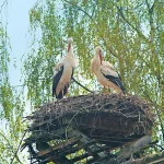 Startseite Startseite