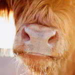 Startseite Startseite