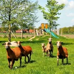 Startseite Startseite