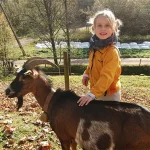 Startseite Startseite