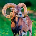 Startseite Startseite