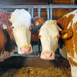 Startseite Startseite