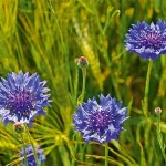 Startseite Startseite