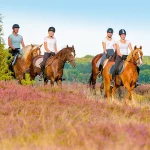 Startseite Startseite