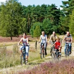 Startseite Startseite