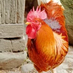 Startseite Startseite