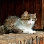 Startseite Startseite