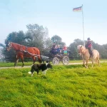 Startseite Startseite