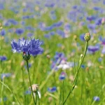 Startseite Startseite