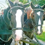 Startseite Startseite