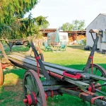 Startseite Startseite