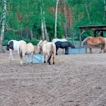 Startseite Startseite