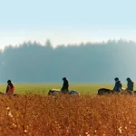 Startseite Startseite